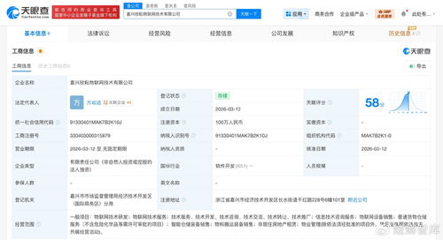 菜鳥網(wǎng)絡(luò)再布局物聯(lián)網(wǎng)賽道，同日成立兩家技術(shù)公司聚焦信息服務(wù)